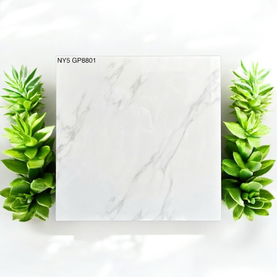 Viglacera NY5 GP 8801